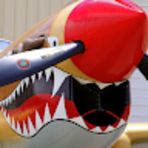 Meet your Posher, Randy